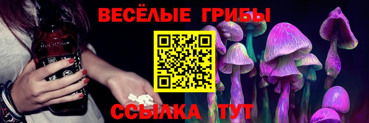 Кострома  Галлюциногенные грибы Psilocybine cubensis  Вход с VPN 
